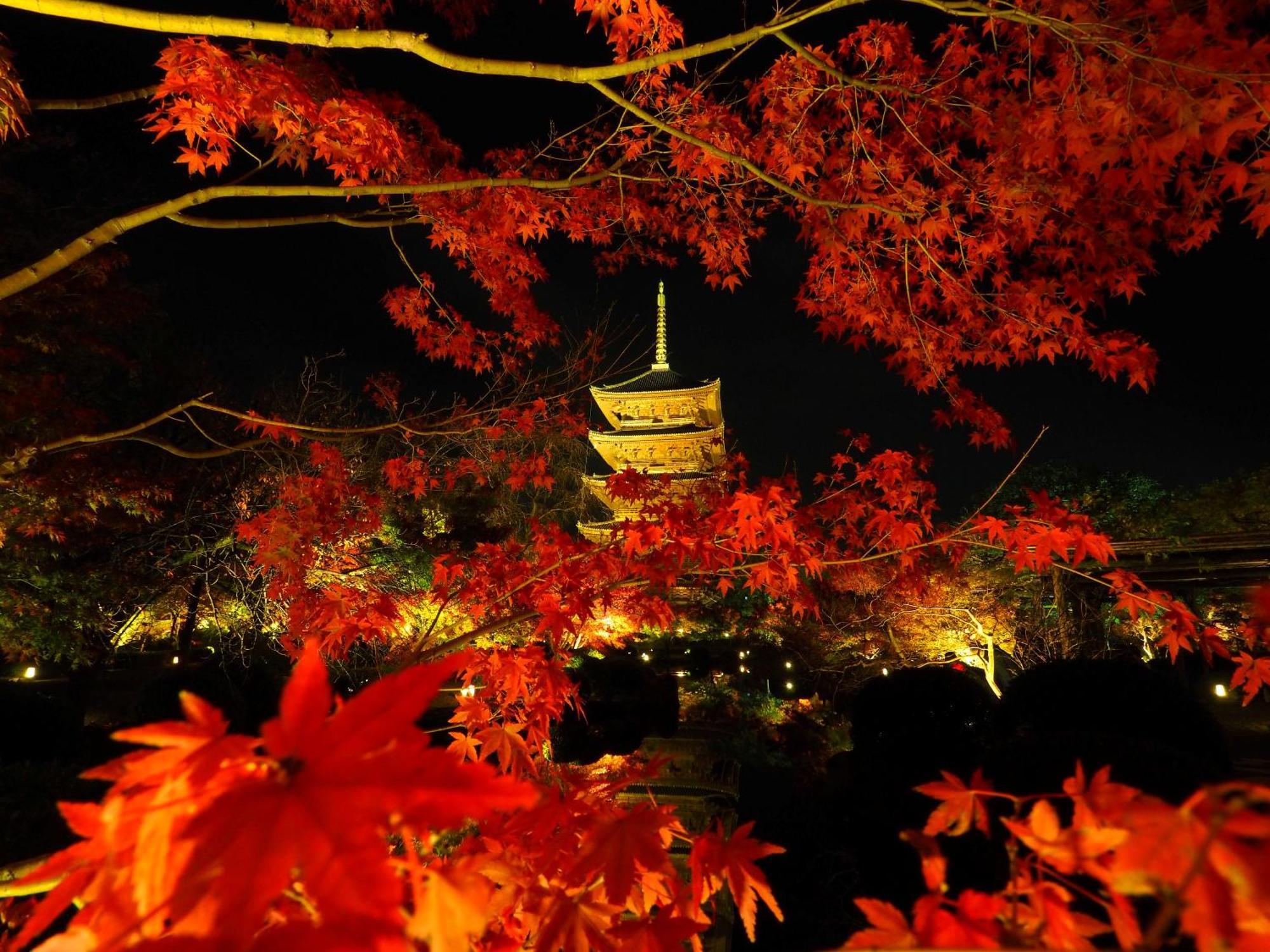 Stay Sakura Kyoto Higashi Hongan-Ji I Eksteriør bilde