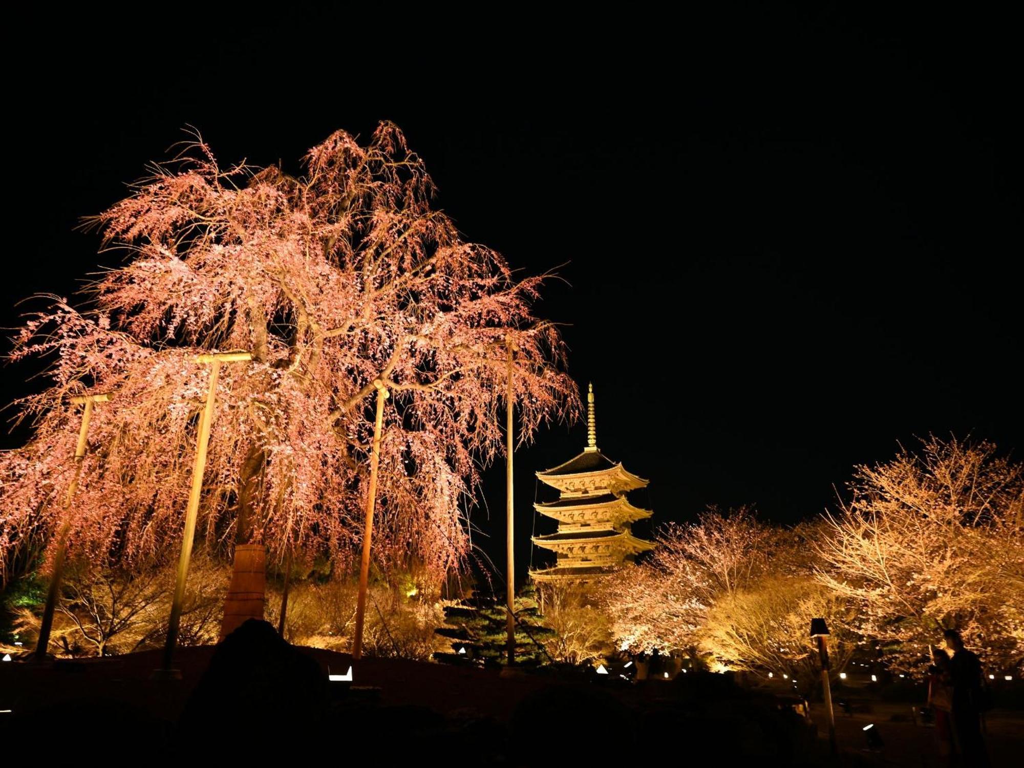 Stay Sakura Kyoto Higashi Hongan-Ji I Eksteriør bilde