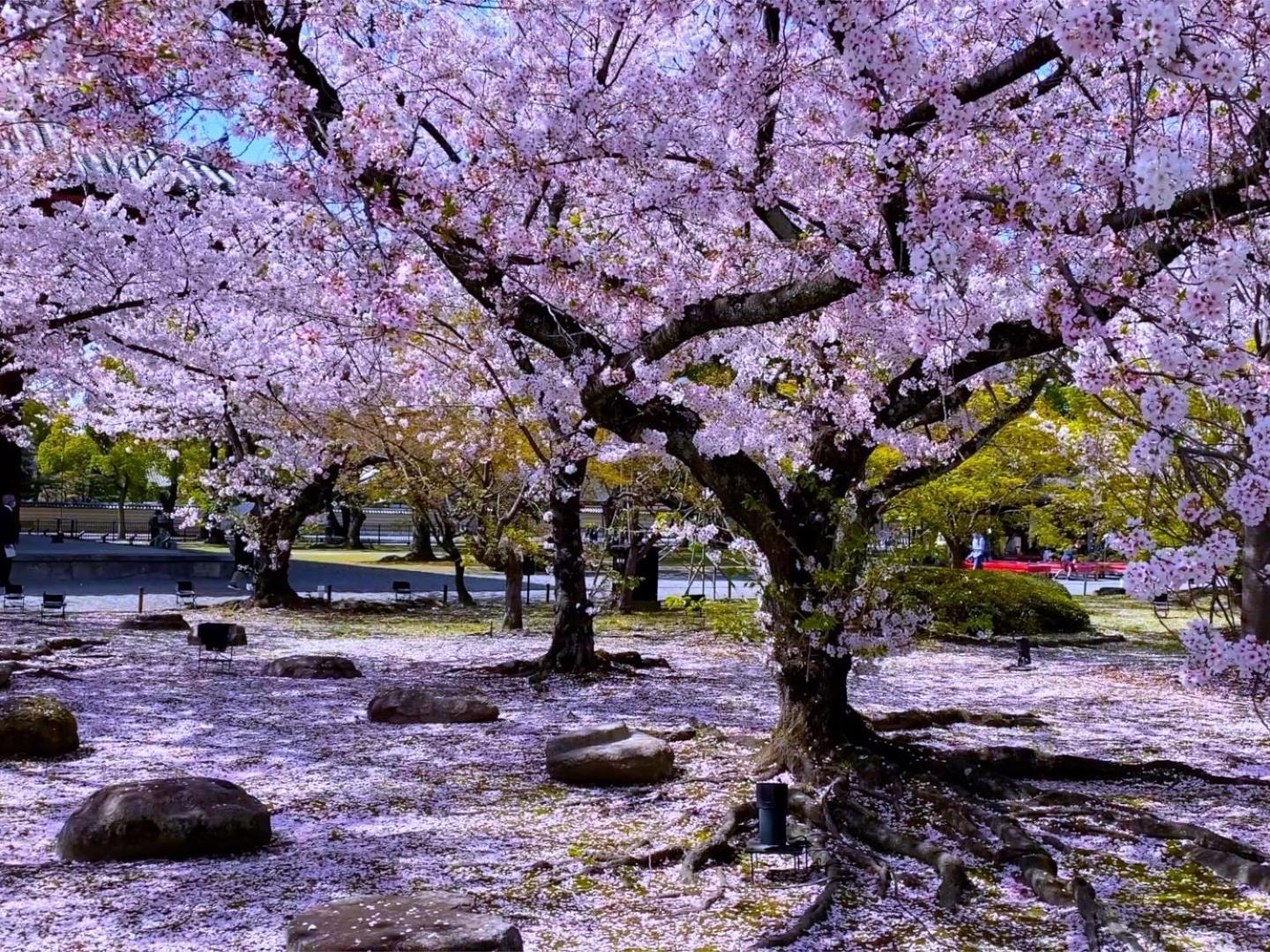 Stay Sakura Kyoto Higashi Hongan-Ji I Eksteriør bilde